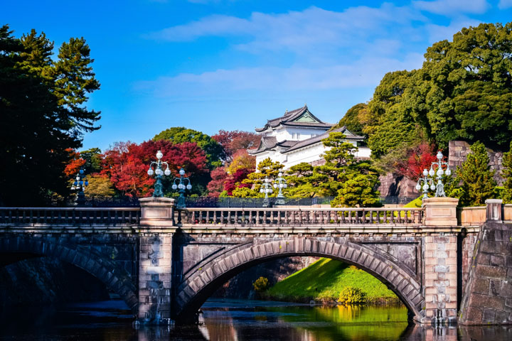 ACFL26-travel-tokyo-06